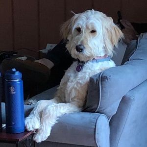 Meet your Posher, Jessica